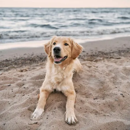 Apartamento Stoertebeker 5-sterne-urlaub An Der Ostsee *